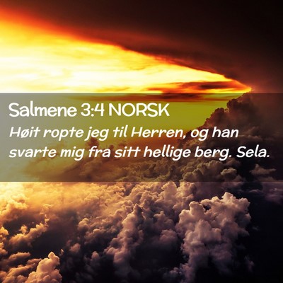 Picture 02 - Salmene 3:4 NORSK - Høit ropte jeg til Herren, og han svarte mig fra - Bible Verse Picture