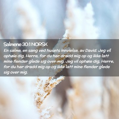 Picture 02 - Salmene 30:1 NORSK - En salme, en sang ved husets innvielse, av David. - Bible Verse Picture
