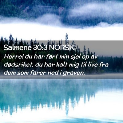 Picture 02 - Salmene 30:3 NORSK - Herre! du har ført min sjel op av dødsriket, du - Bible Verse Picture