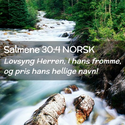 Picture 02 - Salmene 30:4 NORSK - Lovsyng Herren, I hans fromme, og pris hans - Bible Verse Picture