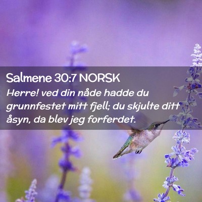 Picture 02 - Salmene 30:7 NORSK - Herre! ved din nåde hadde du grunnfestet mitt - Bible Verse Picture