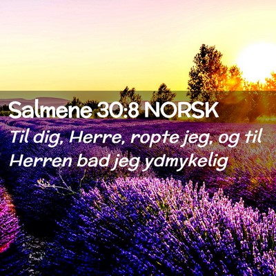 Picture 02 - Salmene 30:8 NORSK - Til dig, Herre, ropte jeg, og til Herren bad jeg - Bible Verse Picture