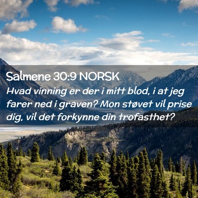Picture 02 - Salmene 30:9 NORSK - Hvad vinning er der i mitt blod, i at jeg farer - Bible Verse Picture