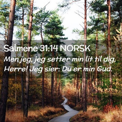 Picture 02 - Salmene 31:14 NORSK - Men jeg, jeg setter min lit til dig, Herre! Jeg - Bible Verse Picture