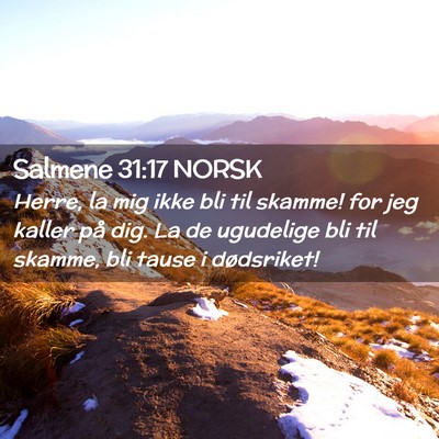 Picture 02 - Salmene 31:17 NORSK - Herre, la mig ikke bli til skamme! for jeg kaller - Bible Verse Picture