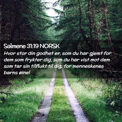 Picture 02 - Salmene 31:19 NORSK - Hvor stor din godhet er, som du har gjemt for dem - Bible Verse Picture