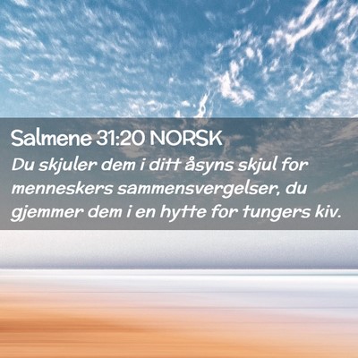 Picture 02 - Salmene 31:20 NORSK - Du skjuler dem i ditt åsyns skjul for menneskers - Bible Verse Picture