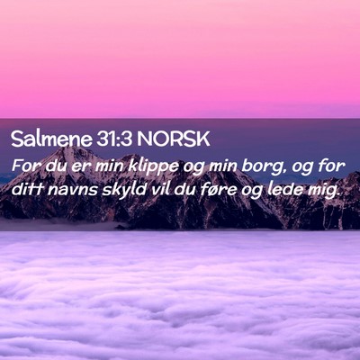 Picture 02 - Salmene 31:3 NORSK - For du er min klippe og min borg, og for ditt - Bible Verse Picture
