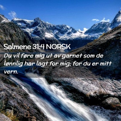 Picture 02 - Salmene 31:4 NORSK - Du vil føre mig ut av garnet som de lønnlig har - Bible Verse Picture