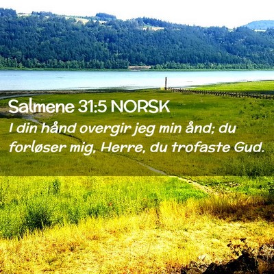 Picture 02 - Salmene 31:5 NORSK - I din hånd overgir jeg min ånd; du forløser - Bible Verse Picture
