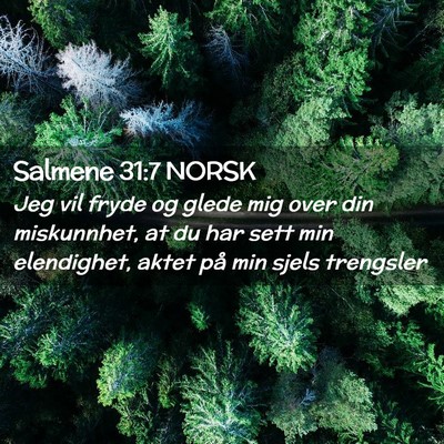 Picture 02 - Salmene 31:7 NORSK - Jeg vil fryde og glede mig over din miskunnhet, - Bible Verse Picture