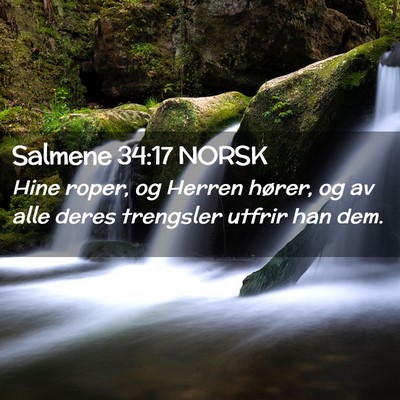 Picture 02 - Salmene 34:17 NORSK - Hine roper, og Herren hører, og av alle deres - Bible Verse Picture