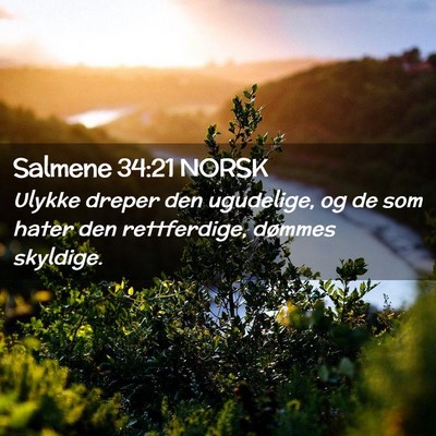 Picture 02 - Salmene 34:21 NORSK - Ulykke dreper den ugudelige, og de som hater den - Bible Verse Picture