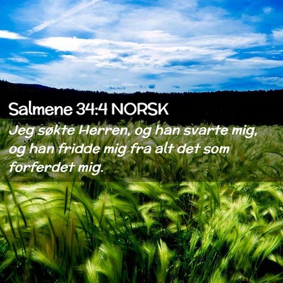 Picture 02 - Salmene 34:4 NORSK - Jeg søkte Herren, og han svarte mig, og han - Bible Verse Picture