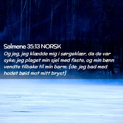 Picture 02 - Salmene 35:13 NORSK - Og jeg, jeg klædde mig i sørgeklær, da de var - Bible Verse Picture