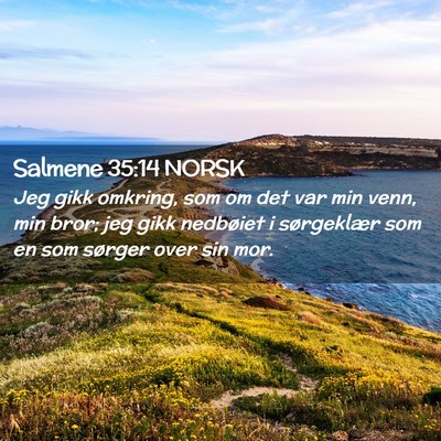 Picture 02 - Salmene 35:14 NORSK - Jeg gikk omkring, som om det var min venn, min - Bible Verse Picture