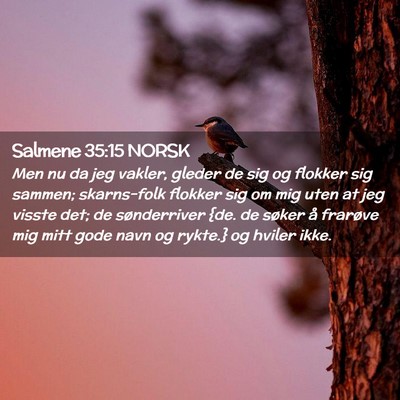 Picture 02 - Salmene 35:15 NORSK - Men nu da jeg vakler, gleder de sig og flokker - Bible Verse Picture
