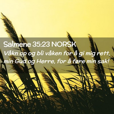 Picture 02 - Salmene 35:23 NORSK - Våkn op og bli våken for å gi mig rett, min - Bible Verse Picture