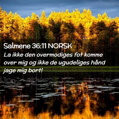 Picture 02 - Salmene 36:11 NORSK - La ikke den overmodiges fot komme over mig og - Bible Verse Picture