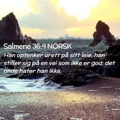 Picture 02 - Salmene 36:4 NORSK - Han optenker urett på sitt leie, han stiller sig - Bible Verse Picture