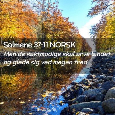 Picture 02 - Salmene 37:11 NORSK - Men de saktmodige skal arve landet og glede sig - Bible Verse Picture