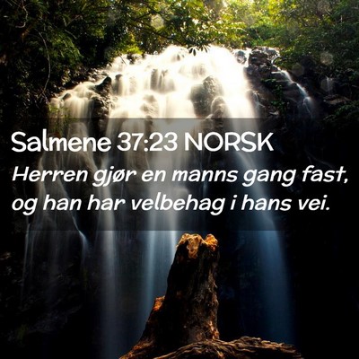 Picture 02 - Salmene 37:23 NORSK - Herren gjør en manns gang fast, og han har - Bible Verse Picture