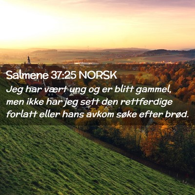 Picture 02 - Salmene 37:25 NORSK - Jeg har vært ung og er blitt gammel, men ikke - Bible Verse Picture