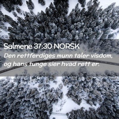Picture 02 - Salmene 37:30 NORSK - Den rettferdiges munn taler visdom, og hans tunge - Bible Verse Picture