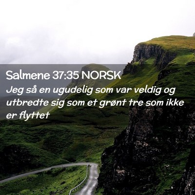 Picture 02 - Salmene 37:35 NORSK - Jeg så en ugudelig som var veldig og utbredte - Bible Verse Picture