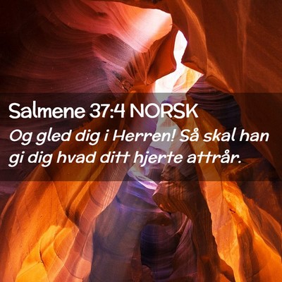 Picture 02 - Salmene 37:4 NORSK - Og gled dig i Herren! Så skal han gi dig hvad - Bible Verse Picture