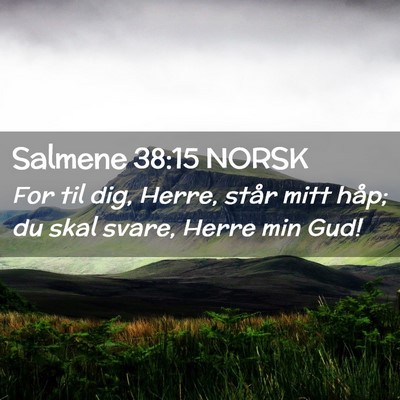 Picture 02 - Salmene 38:15 NORSK - For til dig, Herre, står mitt håp; du skal - Bible Verse Picture