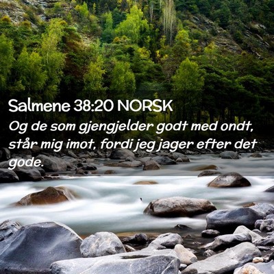 Picture 02 - Salmene 38:20 NORSK - Og de som gjengjelder godt med ondt, står mig - Bible Verse Picture