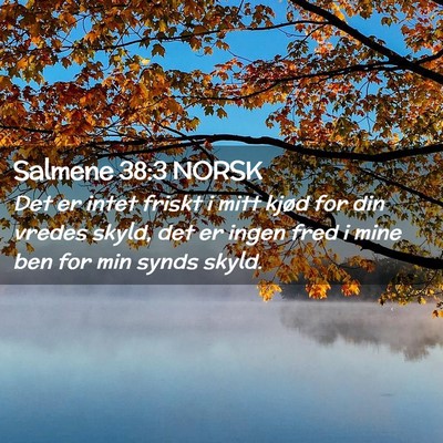 Picture 02 - Salmene 38:3 NORSK - Det er intet friskt i mitt kjød for din vredes - Bible Verse Picture