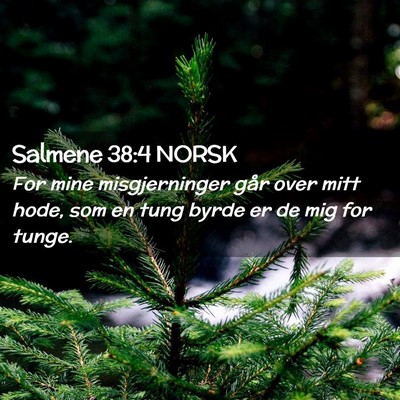 Picture 02 - Salmene 38:4 NORSK - For mine misgjerninger går over mitt hode, som - Bible Verse Picture
