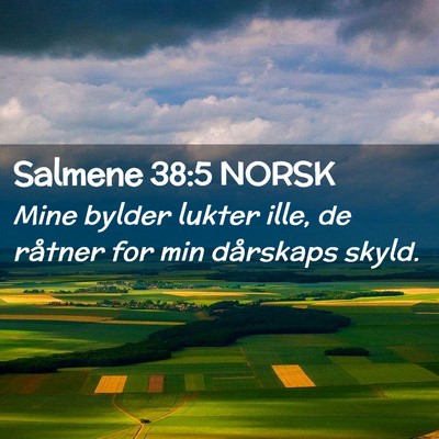 Picture 02 - Salmene 38:5 NORSK - Mine bylder lukter ille, de råtner for min - Bible Verse Picture