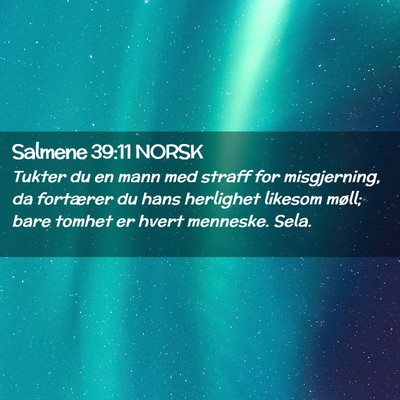 Picture 02 - Salmene 39:11 NORSK - Tukter du en mann med straff for misgjerning, da - Bible Verse Picture