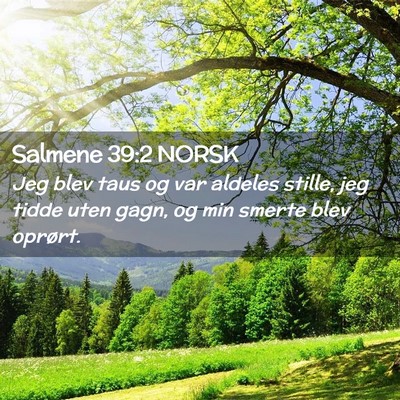 Picture 02 - Salmene 39:2 NORSK - Jeg blev taus og var aldeles stille, jeg tidde - Bible Verse Picture