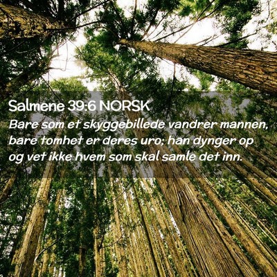 Picture 02 - Salmene 39:6 NORSK - Bare som et skyggebillede vandrer mannen, bare - Bible Verse Picture