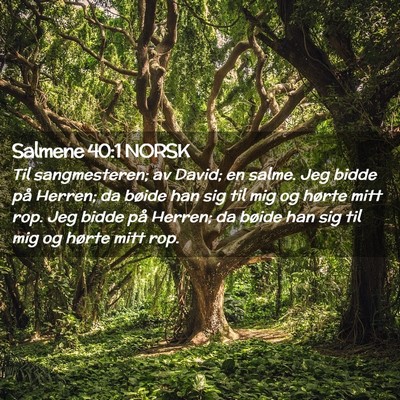 Picture 02 - Salmene 40:1 NORSK - Til sangmesteren; av David; en salme. Jeg bidde - Bible Verse Picture