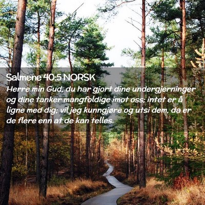 Picture 02 - Salmene 40:5 NORSK - Herre min Gud, du har gjort dine undergjerninger - Bible Verse Picture