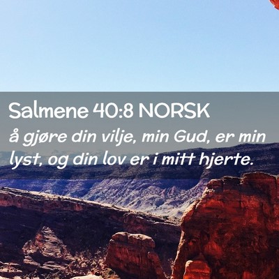 Picture 02 - Salmene 40:8 NORSK - å gjøre din vilje, min Gud, er min lyst, og din - Bible Verse Picture