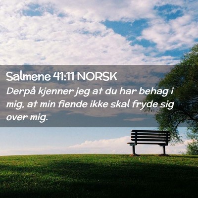 Picture 02 - Salmene 41:11 NORSK - Derpå kjenner jeg at du har behag i mig, at min - Bible Verse Picture