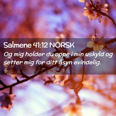 Picture 02 - Salmene 41:12 NORSK - Og mig holder du oppe i min uskyld og setter mig - Bible Verse Picture