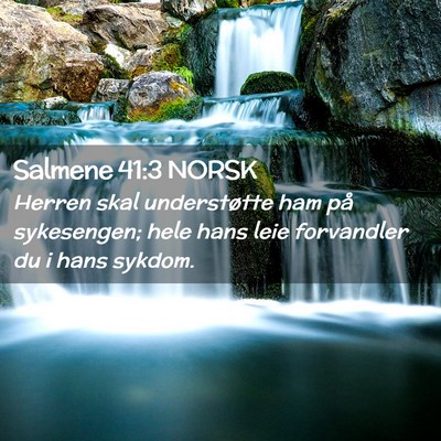 Picture 02 - Salmene 41:3 NORSK - Herren skal understøtte ham på sykesengen; hele - Bible Verse Picture