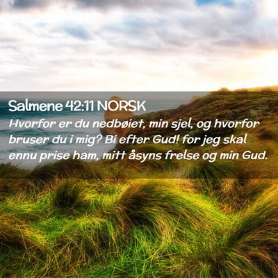 Picture 02 - Salmene 42:11 NORSK - Hvorfor er du nedbøiet, min sjel, og hvorfor - Bible Verse Picture