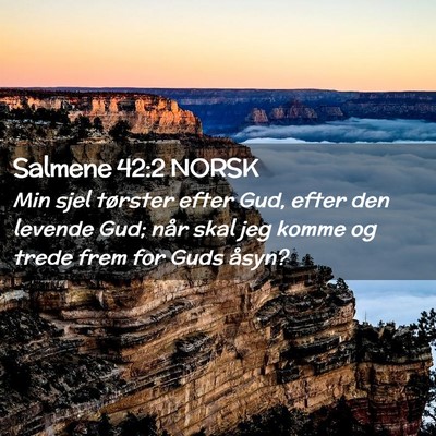Picture 02 - Salmene 42:2 NORSK - Min sjel tørster efter Gud, efter den levende - Bible Verse Picture