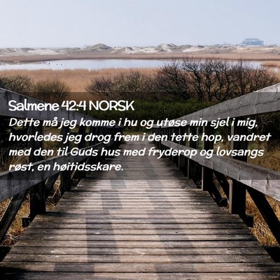 Picture 02 - Salmene 42:4 NORSK - Dette må jeg komme i hu og utøse min sjel i - Bible Verse Picture