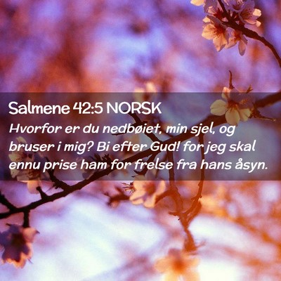 Picture 02 - Salmene 42:5 NORSK - Hvorfor er du nedbøiet, min sjel, og bruser i - Bible Verse Picture