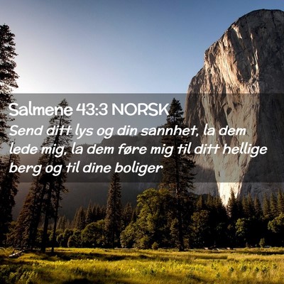 Picture 02 - Salmene 43:3 NORSK - Send ditt lys og din sannhet, la dem lede mig, la - Bible Verse Picture