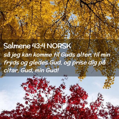 Picture 02 - Salmene 43:4 NORSK - så jeg kan komme til Guds alter, til min fryds - Bible Verse Picture